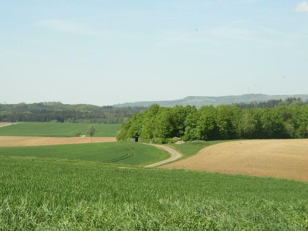 Apartmán Im Haus Am Ries Ehingen am Ries Exteriér fotografie